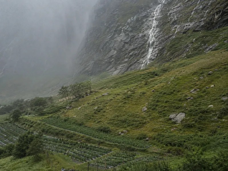 Terraced strawberry fields below rough mountain pasture, rain closing in over the valley